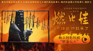 麻豆av下载